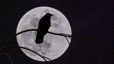 Silhouette-of-raven-perched-on-branch-of-tree-and-watching-rising-full-moon-at-sky--time-lapse