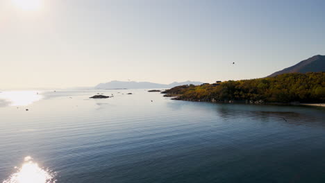 Drone-flight-on-Senja-Island-during-sunset,-herons-gliding-through-air