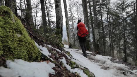 Backpacker-picking-up-hiking-poles-while-walking-on-snow-covered-outdoor-trail