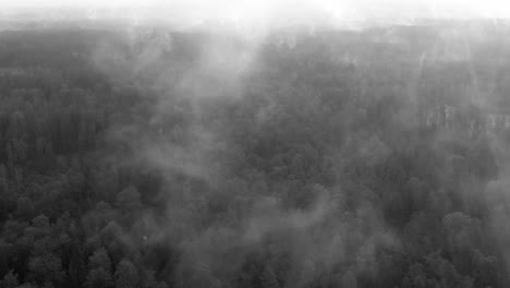 Mystical-fog-over-a-foresrt-in-black-and-white-as-aerial-from-a-drone