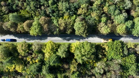 Autumn-landscape-from-above-with-driving-automobiles-along-a-straight-road-through-the-countryside-forest