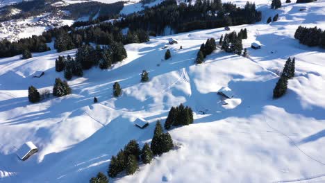 Luftaufnahme-Des-Verschneiten-Waldes-Und-Des-Winters-In-Den-Bergen-Sowie-Luftaufnahme-Des-Berühmten-Winterskigebiets
