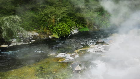 Dense-steam-of-geothermal-river-rising-up-to-sky---Geothermal-minerals-in-nature-of-New-Zealand