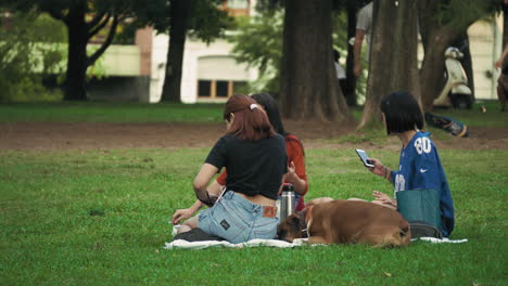 Three-women-relaxing-and-talking-amongst-themselves-at-Parque-Las-Heras,-Palermo,-Buenos-Aires,-Argentina