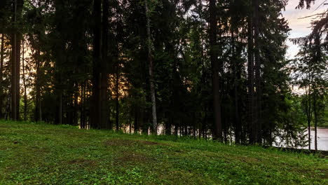 Zeitraffer-Eines-Dichten-Waldes-Mit-Goldenem-Sonnenuntergang,-Der-Sich-Hinter-Waldbäumen-Versteckt