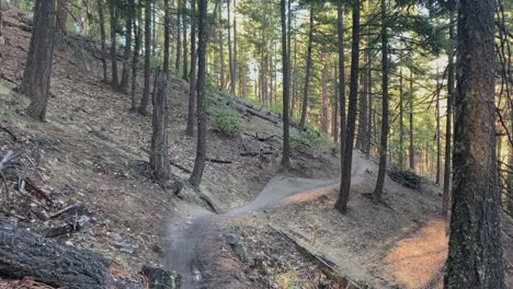 Fast-mountain-biker-speeding-on-a-sinuous-trail-in-Oregon,-USA