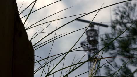 Military-radar-out-of-focus-tower-behind-focused-grasses