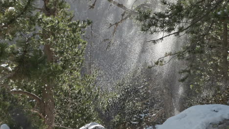 Nieve-Cayendo-En-El-Bosque,-Atrapando-Rayos-De-Sol,-Buena-Luz-De-Fondo,-Inclinación
