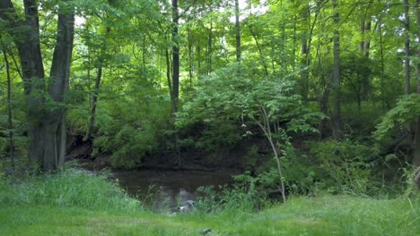 Luftaufnahme-Von-Fließendem-Wasser,-Fluss,-Felsen-Und-Dichten-Bäumen-In-Den-Wäldern-Von-Ohio