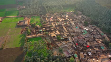Aerial-Over-Village-Town-Surrounded-By-Date-Groves-In-Sindh