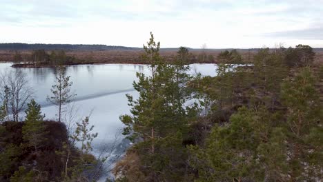 Aerial-drone-view-over-some-trees-next-to-a-frozen-bog-lake-in-Luitemaa,-Tolkuse-National-Park-in-Estonia