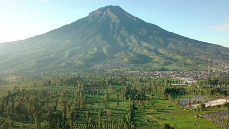 Aerial-forward-shot-of-Gunung-Sumbing-Volcano-and-green-countryside-with-plantation-in-foreground