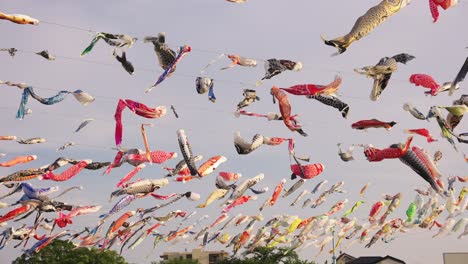 Low-angle-shot-of-colorful-carp-streamers-or-Koinobori-hanging-over-streets-in-Japan-at-daytime