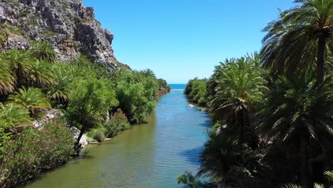 A-beautiful-river-where-a-lot-of-palm-trees-grow