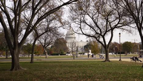 Slow-motion-towards-United-States-Capitol-through-Trees-In-park,-Tracking-shot,-Washington