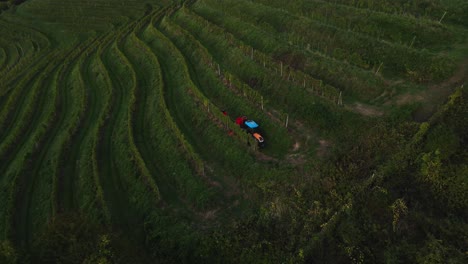 Tractor-driving-amongs-vineyard