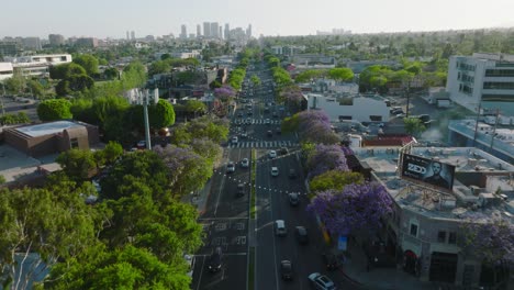 Aerial-View-of-Santa-Monica-Blvd-in-West-Hollywood,-Lush-Green-Trees-and-Cars-Below