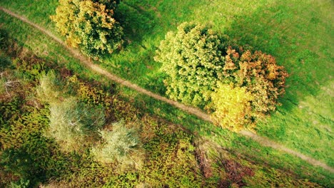 Aerial-Top-View-Over-Straight-Road-With-in-Colorful-Countryside-Autumn-Forest