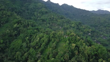 Luftflug-über-Malerische-Dichte-Waldbäume-Am-Menoreh-hügel-Mit-Campingplatz-In-Indonesien