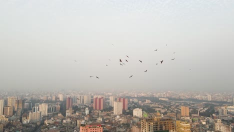 Gruppe-Schwarzer-Vögel,-Die-Hoch-über-Dem-Morgendlichen-Stadtbild-In-Asien-Kreisen