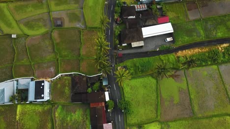 Amazing-cinematic-Ubud,-Bali-drone-footage-with-exotic-rice-terrace,-small-farms,-villages-and-agroforestry-plantation