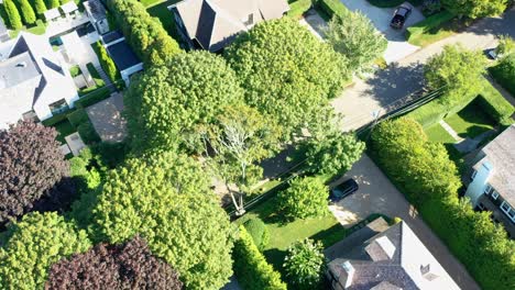 Villas-in-rich-neighborhood-in-Southampton,-Long-Island,-USA,-drone