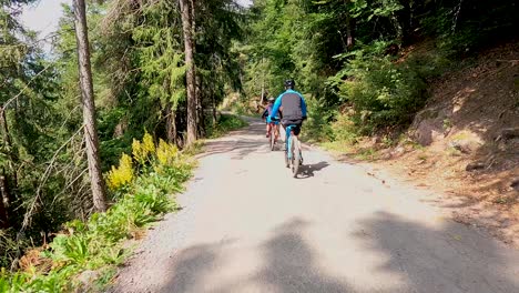Eine-Gruppe-Radfahrer-Fährt-An-Einem-Sonnigen-Tag-Im-Schatten-Von-Nadelbäumen-Einen-Langen-Hügel-In-Den-Bergen-Hinunter