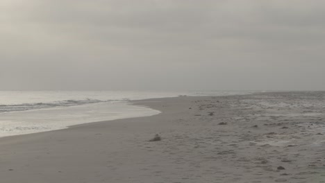 Scandinavian-beach-on-a-foggy-day-in-slow-motion-and-4K