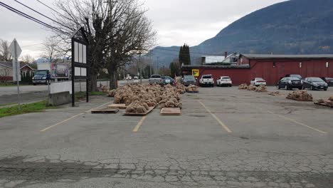A-shot-revealing-sandbags-stockpiled-in-a-car-parking-lot,-the-Abbotsford-community-receiving-basic-emergency-supplies-to-protect-property-from-rising-flood-waters-in-British-Columbia,-Canada