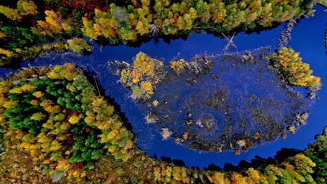 Aerial-View-Of-Colorful-Autumn-Foliage-Surrounding-Still-Water-In-Countryside