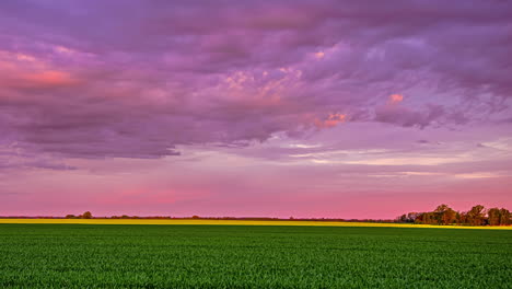 Scenic-shot-over-green-crops-growing-on-an-agricultural-farmland-during-colorful-sunset-sky-in-timelapse