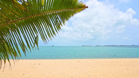 Sonniger-Tropischer-Karibischer-Strand-Mit-Palmenzweig-Im-Vordergrund-Und-Türkisfarbenem-Meerwasser,-Inselurlaub,-Heißer-Sommertag