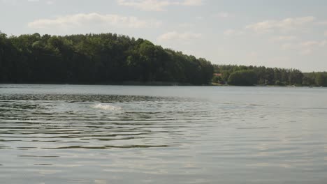adult-Man-Swims-crawl-style-in-The-Lake-Of-Jezioro-Glebokie-In-Poland