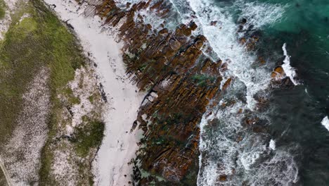Aerial-birdseye-view-of-dramatic-rocky-coast-with-green-water-crashing-on-brown-and-white-sands-beach