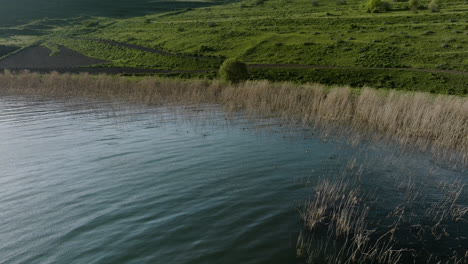 Shoreline-of-a-calm-Tabatskuri-lake,-a-natural-habitat-for-the-Velvet-Duck