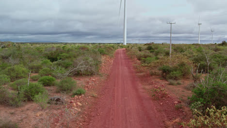Aerial-travelling-of-bull-in-a-red-dirt-road-revealing-the-big-wind-turbine-tower-in-the-background