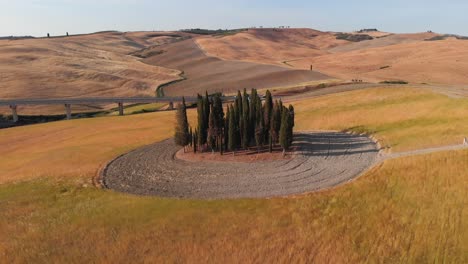 Aerial-shot-of-cypress-trees-on-the-hills-of-Val-d'orcia-,TUSCANY,ITALY