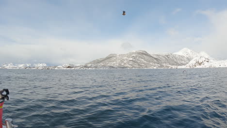 White-Tailed-Eagle,-also-known-as-a-sea-eagle-dives-down-off-the-side-of-the-boat-on-a-bright-sunny-day-in-Norway-with-some-beautiful-snow-capped-mountains-in-the-background