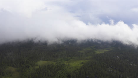 Tief-Hängende-Wolken-über-Einem-Grünen-Wald
