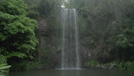 Milla-Milla-Cae-En-Una-Selva-Tropical-En-El-Norte-De-Queensland,-Australia---Amplia