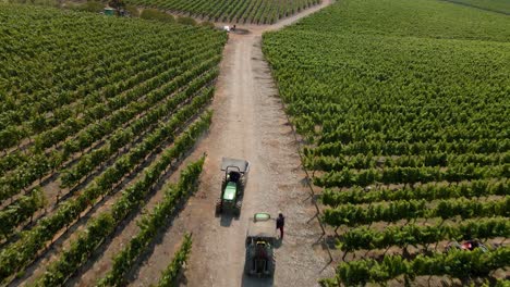 Aerial-view-dolly-out-of-a-tractor-in-the-middle-of-a-vineyard-road-on-a-sunny-day