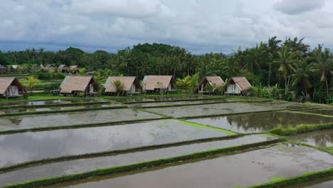 Luftlandschaft-überfluteter-Reisfelder-Nach-Der-Ernte-Mit-Blick-Auf-Lokale-Strohhütten-In-Ubud,-Bali
