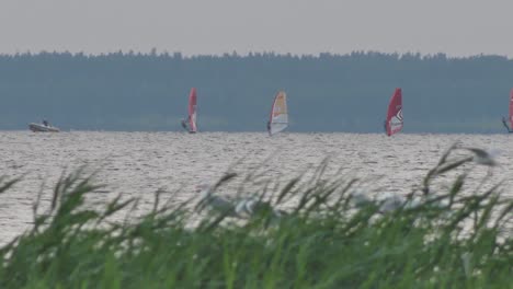 Windsurf-Festival-Auf-Dem-See
