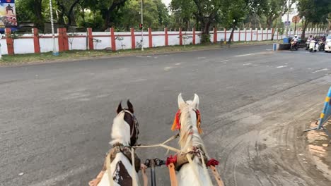 POV-shot-Timelapse-of-horse-cart-or-tanga-on-a-beautiful-winter-afternoon-at-Maidan-Kolkata-with-Horse-chariot-passing-in-red-road