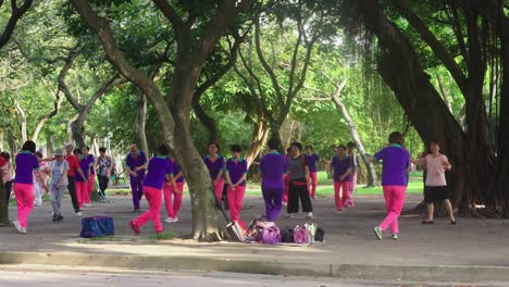 Timelapse:-Gran-Grupo-De-Mujeres-Con-Uniformes-Rosas-Y-Morados-Practicando-Coreografías-De-Baile-En-El-Parque-Daan-En-La-Ciudad-De-Taipei,-Taiwán
