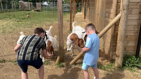 Jungen-Füttern-Ziegen-Auf-Einer-Bauernhofattraktion