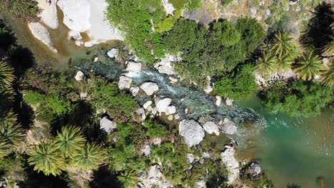 Ein-Wasserfall,-Der-Durch-Einen-Großen-Und-Sehr-Grünen-Palmenwald-Fließt