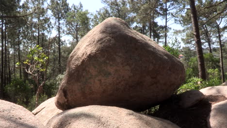 Grandes-Piedras-Amarillentas-En-Lo-Alto-De-La-Colina,-Rodeadas-De-Pinos-Y-Otra-Vegetación