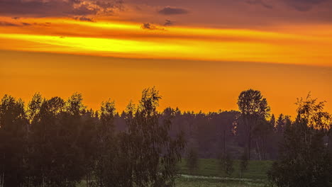 Der-Himmel-Leuchtet-Bei-Sonnenuntergang-Orange-über-Einem-Wald-In-Silhouette---Zeitraffer-Wolkenlandschaft