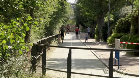 Group-of-athletes-running-a-marathon-on-a-narrow-street-between-trees
